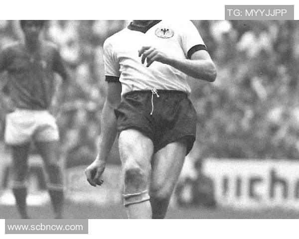 足球巨星亲自解读赛场背后的心路历程与成功秘笈